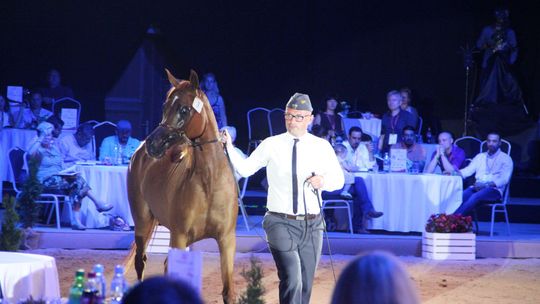 Końca śledztwa dotyczącego stadniny koni w Janowie Podlaskim nie widać. Przedłużono je po raz kolejny