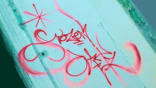 Koncert Frozen Catz w Padbarze