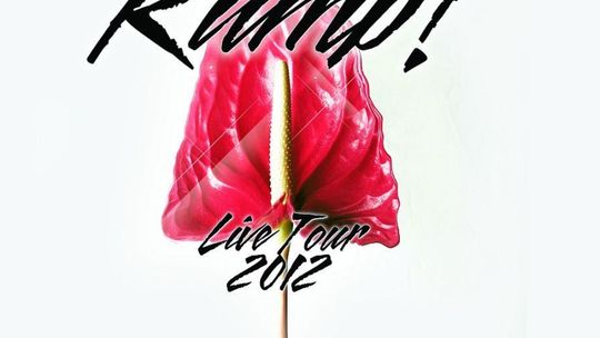 Koncert Kamp! w sobotę w Lublinie