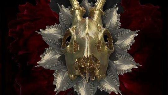 Koncert metalowy w Graffiti. Zagrają Moanaa, Shodan, Traces To Nowhere i Youdash