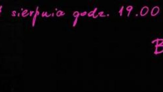 Koncert Piotra Bukartyka w Opolu Lubelskim