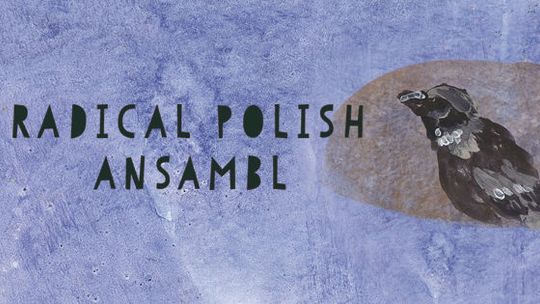 Koncert Radical Polish Ansambl