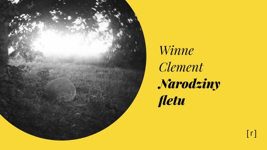 Koncert Winne Clement "Narodziny fletu"