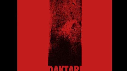 Koncert zespołu Daktari