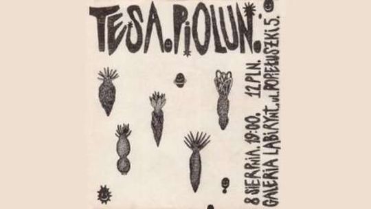 Koncert zespołu Tesa w Galerii Labirynt