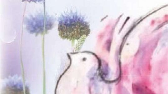 Koncerty, spotkania, biegi i rozmowy