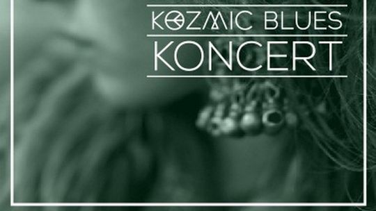 Koncerty w Szkole69: Marek Raduli Trio, Natalia Przybysz, Mr. Pollack