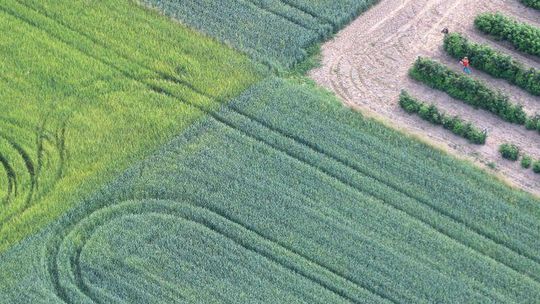 Kończy się spis rolników