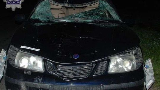 Konie uciekły z pastwiska i wbiegły pod auta. Pasażerka ranna, koń zginął