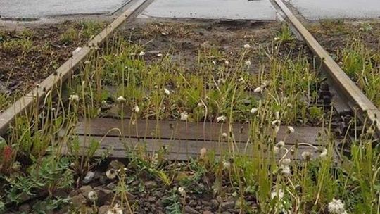 Koniec objazdu na drodze z Puław do Dęblina