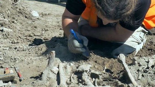 Koniec prac archeologów na części pl. Litewskiego. Odkopali kości, amunicję i pamiątki