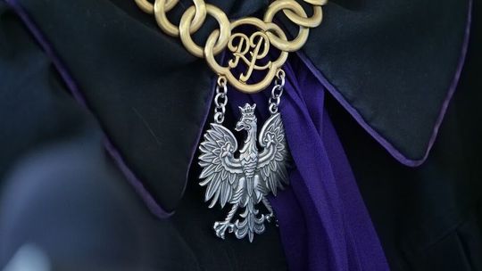 Koniec procesu w sprawie nieodpowiedniego transportu tygrysów. Wyrok dla organizatora i kierowcy