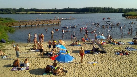 Dębowy Las Wołkowiany
