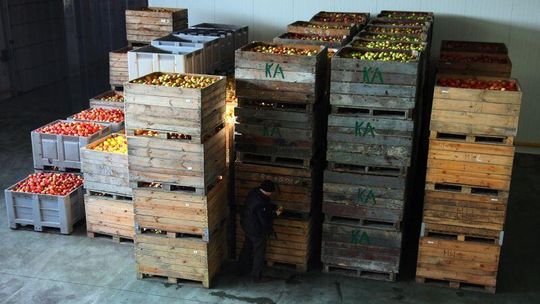 Koniec zgłoszeń do konkursu \"Rolnik Lubelszczyzny”: 32 kandydatów