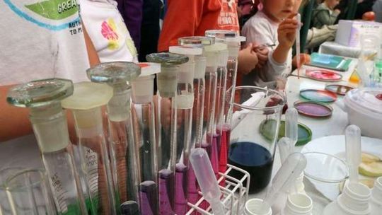 Konkurs na hasło XIII Lubelskiego Festiwalu Nauki