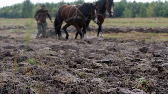 Konkurs \"Rolnik Lubelszczyzny”: Kandydaci poszukiwani