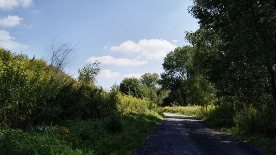 Konkurs rowerowy: Konopnica