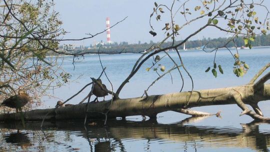 Konkurs rowerowy: Nałęczów-Lublin-Nałęczów