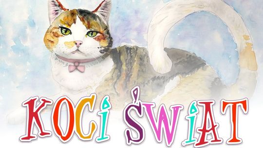 Konkursy z okazji Światowego Dnia Kota w Puławach