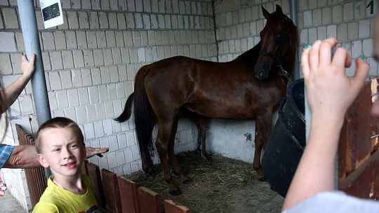 Końskowola: Drzwi otwarte LODR. Wystawa roślin, zwierząt i maszyn rolniczych