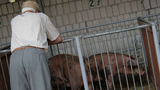 Końskowola: Dzień Drzwi Otwartych w LODR