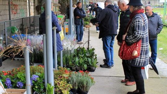 Końskowola: Kupują drzewka i krzewy, trwa jesienny kiermasz