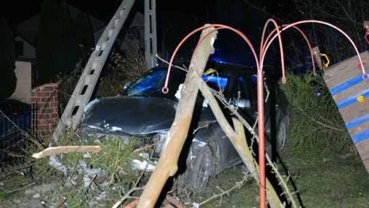 Kontrola drogowa zakończona na słupie energetycznym