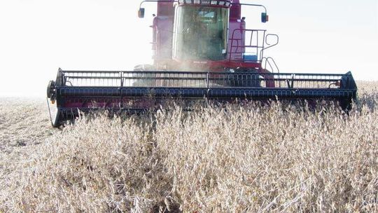 Kontrola płatności bezpośrednich w woj. lubelskim