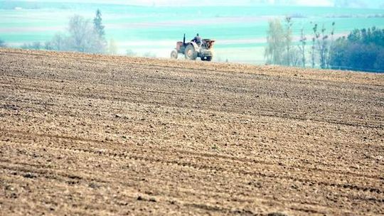 Kontrola rolników. Niektórzy zawyżyli powierzchnię działek