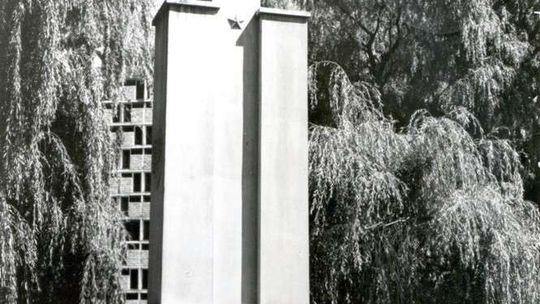 Kontrowersyjny pomnik w centrum Puław. Jaka jest jego historia?