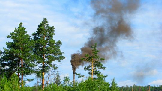 Kopciucha wymienisz, nie angażując swoich pieniędzy. Ile można dostać przedpłaty?