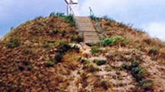 Kopiec H. Sienkiewicza w Okrzei (nr 45) - 1 głos