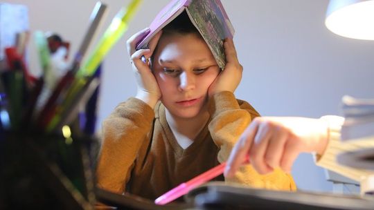 Korepetycje 2020. Zdalne tańsze od osobistych. Jakie są ceny w Lublinie?