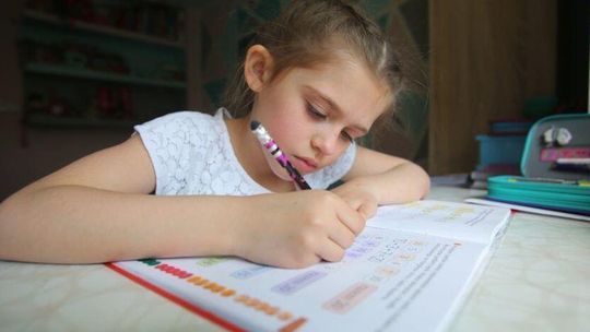 Korepetycje dla dzieci od ludzi Hołowni. Zaczynają w powiecie bialskim 