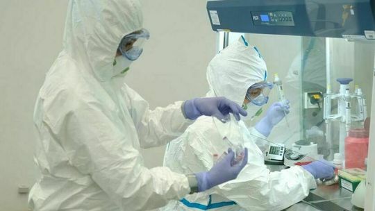 Koronawirus. 12 kwietnia 2022 roku. Duży wzrost liczby nowych zakażonych