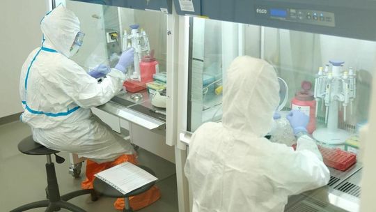 Koronawirus. 16 marca 2022. Zmarło ponad 150 pacjentów