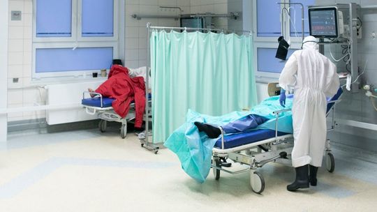 Koronawirus Lubelskie, 19 kwietnia: Jeden powiat bez żadnych nowych zakażeń