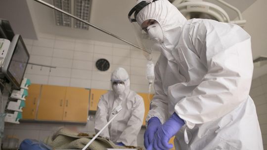 Koronawirus Lubelskie, 26 stycznia: Dużo nowych zakażeń w dwóch miastach