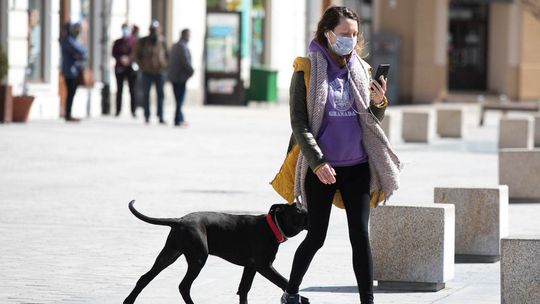 Koronawirus. Lubuskie i mazowieckie z bardzo restrykcyjnymi obostrzeniami