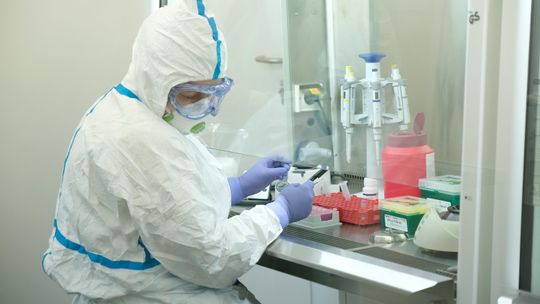 Koronawirus powiat kraśnicki. Ognisko epidemiczne w fazie stabilnej [17.08]