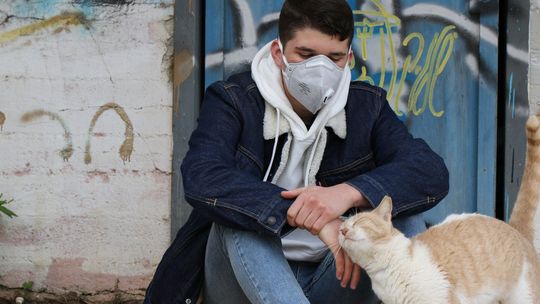 Koronawirus u zwierząt "Nie ma dowodów, że wirus zmutował na norkach"