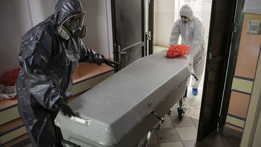 Koronawirus w Lubelskiem. 10 zgonów tylko w jednym powiecie [dane Ministerstwa Zdrowia]