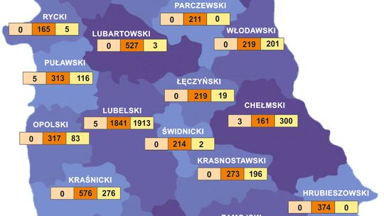 Koronawirus w Lubelskiem. Nowe hospitalizacje, kwarantanna [dane na 31.03]