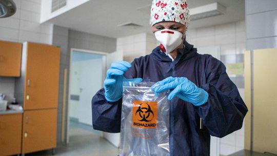 Koronawirus w Polsce. Raport z 24 sierpnia, ofiary śmiertelne i nowe zakażenia