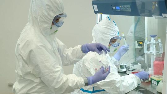 Koronawirus w Polsce. Raport z 7 sierpnia