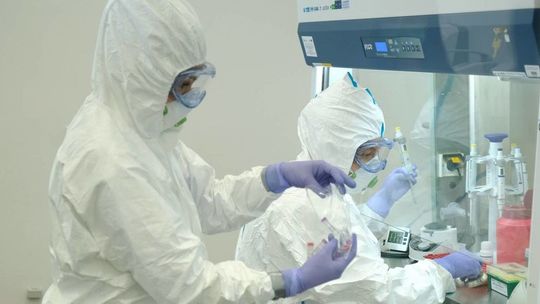 Koronawirus. W woj. lubelskim 1600 nowych przypadków zakażenia