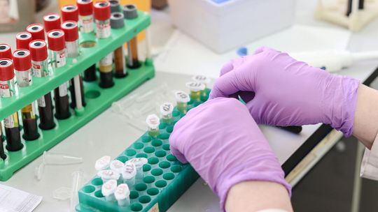 Koronawirus wydostał się z laboratorium w Chinach? Tak twierdzi amerykańska Partia Republikańska