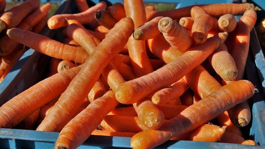 Koronawirus: Zmiany na targowiskach. Część rolników będzie miała gdzie sprzedawać żywność