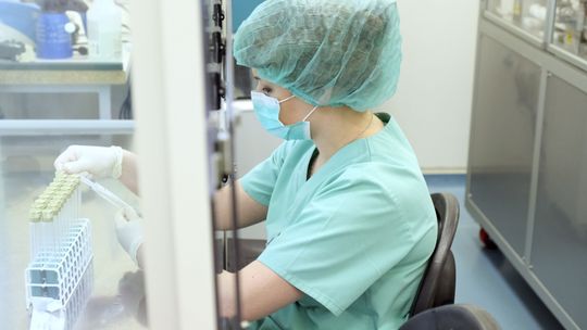 Koronawirusa wykryją w 10 minut. Lubelska firma BioMaxima w przyszłym tygodniu ma mieć szybkie testy