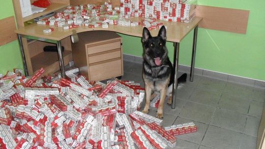 Koroszczyn: Białorusin papierosy ukrył nawet w filtrze paliwa